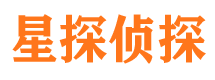 灵川市侦探公司